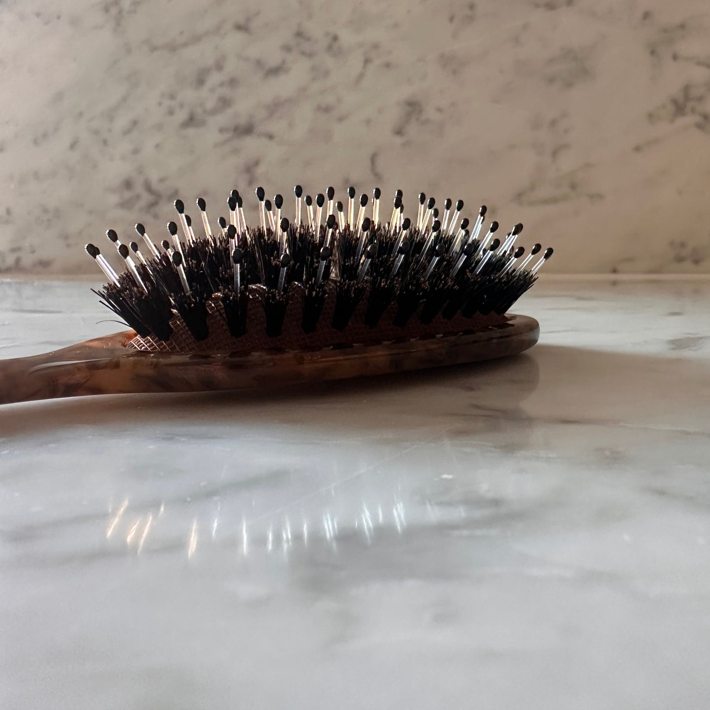 Loyal hairbrush compact